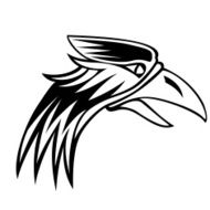 Eagle N22