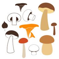 Mushrooms N54