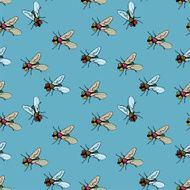 flies