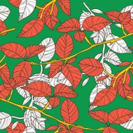 Leafs N20