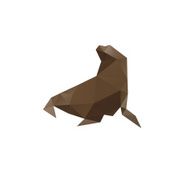 Walrus isolated on a white backgrounds