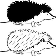Hedgehog N16