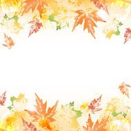 Autumn Background N110