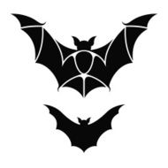 Bat N13