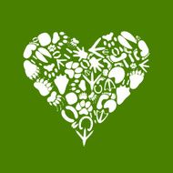 Heart of an animal