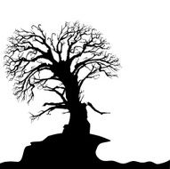 Abstract Tree N24