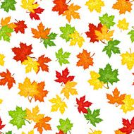 Seamless pattern with autumn maple leaves Vector illustration N4