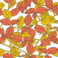 Leafs N24