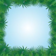 frame from palm trees