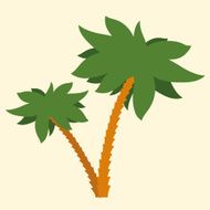 Tropical palm tree