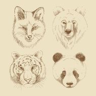 Fox bear tiger and panda