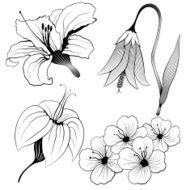 Vector flowers set N2