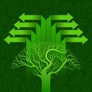 concept of an ecological theme