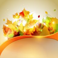 Autumn Background N111