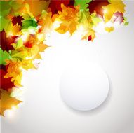 Autumn Background N112