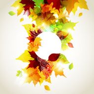 Autumn Background N113