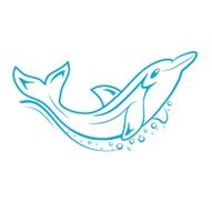 Swish Style Dolphin