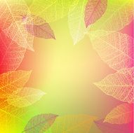 Leaves N103