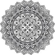 Beautiful ornament N55