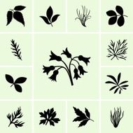 Plants N15