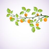 Green branch with apples Seasonal background