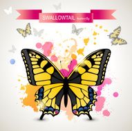 swallowtail butterfly N3