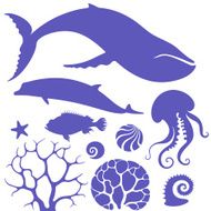 ocean N4