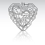 heart N372