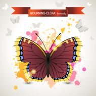 Mourning-cloak butterfly