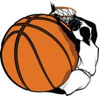 Basketball Dunk Design
