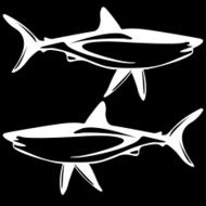 Shark black and white outline