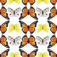 Seamless butterfly ornament N2