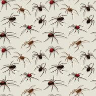 Spiders seamless pattern N5