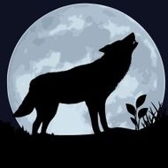 Wolf N23