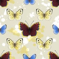 Butterfly seamless