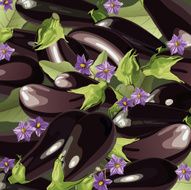 background of aubergine