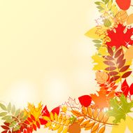 Autumn leaves falling background