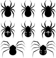 Spiders N7