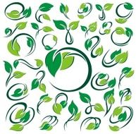Green Leafs N11