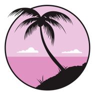 Tropical palm tree N2