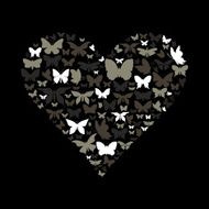 Heart the butterfly