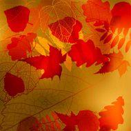 Autumn background with leave