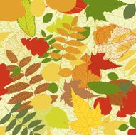 Autumn background with leave N2