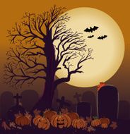 halloween background N240