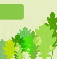 Green Leafs N12