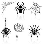 Spider icons