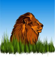 Lion in the grass