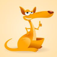 Kangaroo Animal Illustration