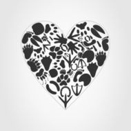 Heart of an animal N2