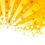 orange background with daisies and butterflies